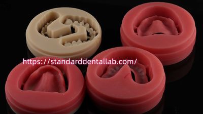 Standard Dental Lab Co., Limited প্রস্তুতকারকের উৎপাদন লাইন