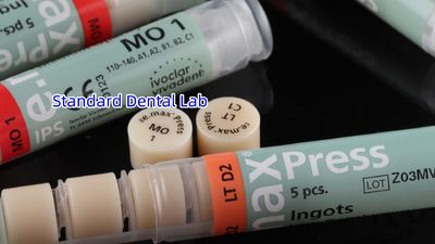 Standard Dental Lab Co., Limited প্রস্তুতকারকের উৎপাদন লাইন