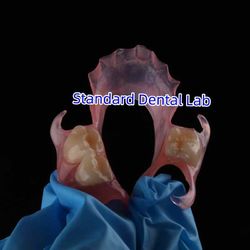 Standard Dental Lab Co., Limited প্রস্তুতকারকের উৎপাদন লাইন