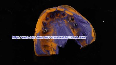Standard Dental Lab Co., Limited প্রস্তুতকারকের উৎপাদন লাইন