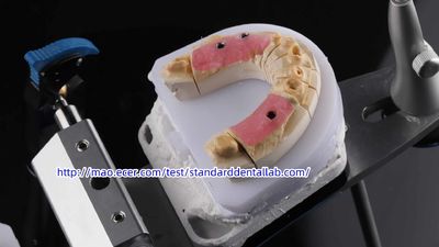 Standard Dental Lab Co., Limited প্রস্তুতকারকের উৎপাদন লাইন