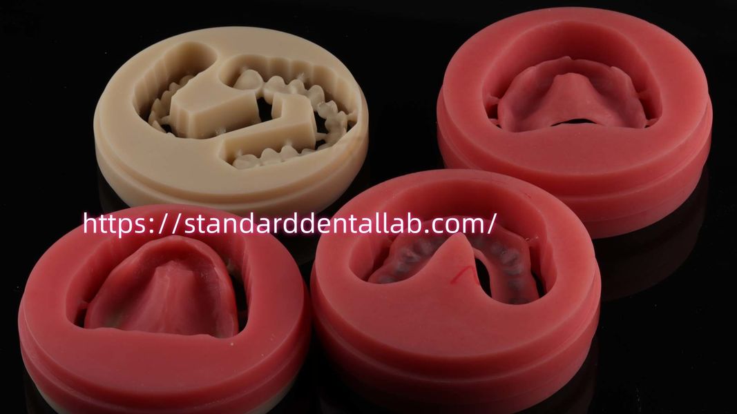 Standard Dental Lab Co., Limited প্রস্তুতকারকের উৎপাদন লাইন