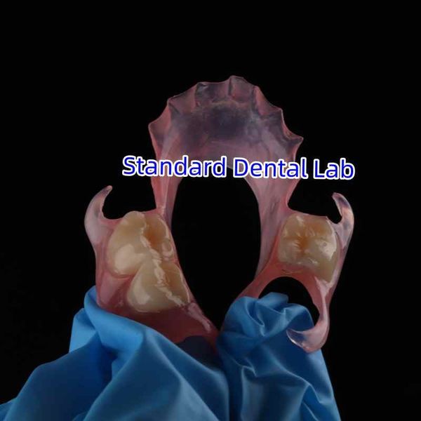 Standard Dental Lab Co., Limited প্রস্তুতকারকের উৎপাদন লাইন