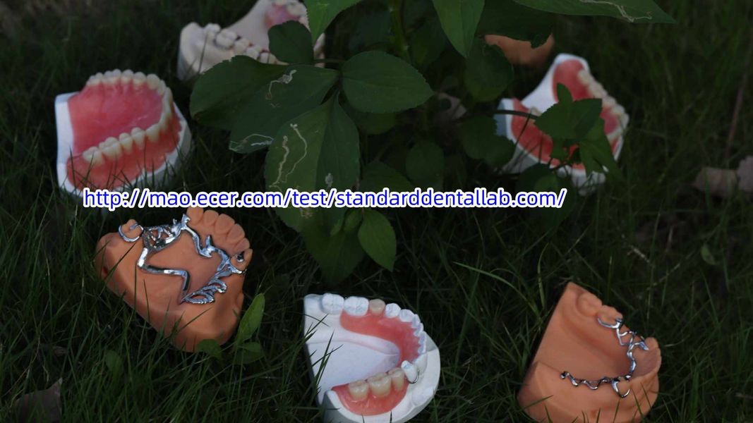 Standard Dental Lab Co., Limited প্রস্তুতকারকের উৎপাদন লাইন
