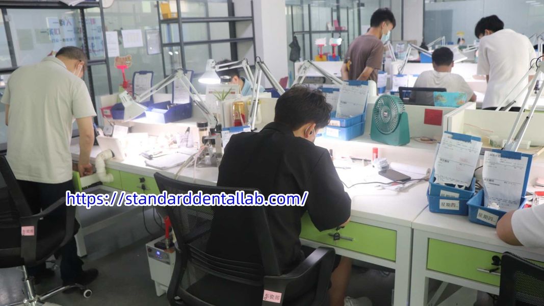 Standard Dental Lab Co., Limited প্রস্তুতকারকের উৎপাদন লাইন
