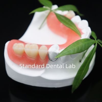 কেনা উচ্চ নান্দনিকতা Dentsply Lucitone 199 এক্রাইলিক দাঁত দাঁত দাঁত জন্য এক্রাইলিক রজন চীন দাঁত ল্যাব অনলাইন উত্পাদন