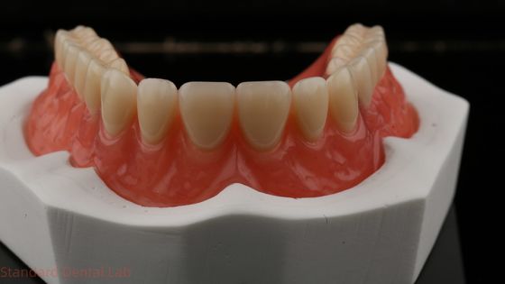 Dentsply Lucitone 199 সম্পূর্ণ আর্ক প্রাকৃতিক চেহারা জন্য এক্রাইলিক দাঁত