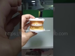 উচ্চ নান্দনিক ব্রুসজির ফুল কনট্যুর জিরকোনিয়া মুকুট পিএফজেড ব্রিজ