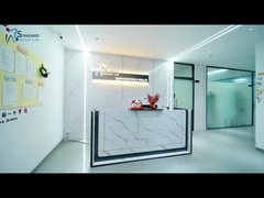 ডিজিটাল ডেন্টাল ম্যালো ইমপ্লান্ট ব্রিজ টাইটানিয়াম আইভোকলার হাইব্রিড জিরকোনিয়া ব্রিজ