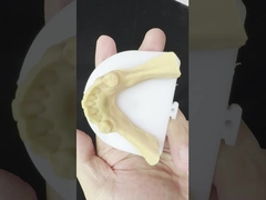 ধাতু খাদ আংশিক কোবাল্ট ক্রোম দাঁত Ivoclar Scheftner আরামদায়ক ধাতু ফ্রেমওয়ার্ক