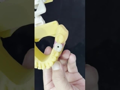 পোরসেলান অল অন ফোর জিরকোনিয়া ব্রিজ উচ্চ নান্দনিকতা ডেন্টাল ইমপ্লান্ট ব্রিজ স্ক্রু সংরক্ষিত