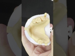 ধাতু খাদ আংশিক কোবাল্ট ক্রোম দাঁত Ivoclar Scheftner আরামদায়ক ধাতু ফ্রেমওয়ার্ক